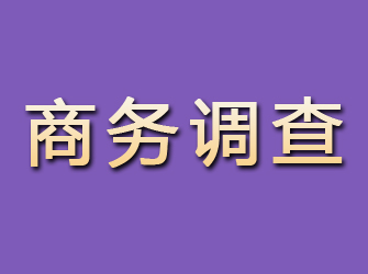 茌平商务调查